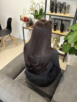 エボルブ(EVOLVE) チョコブラウン