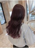 ○バレイヤージュ/ピンクバイオレット○ 菅野裕太