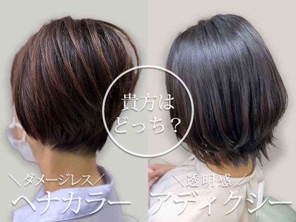 ヘアカラーアンドアイラッシュ マウルール バイ ティアレ(Mauruuru)の写真