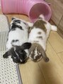 フーコー 朝日ヶ丘店(fuhcoh) ウサギ2匹飼ってます!!^o^ボンちゃんビビちゃんです♪