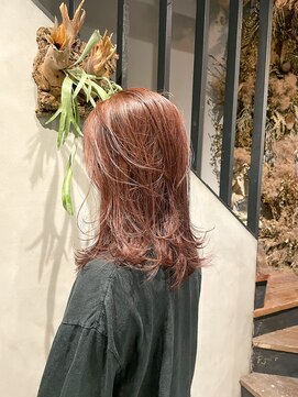 オムズ(OM's) イルミナカラー