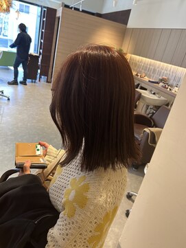 モデスト(modeste) アプリコットオレンジ