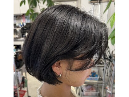 アネラ(anela)の写真