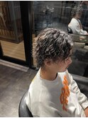 ツイスパ　ウルフ
