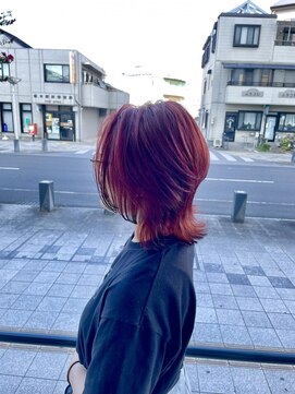 バディ(BUDDY) フォックスカラー