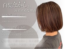 ヘアーシー(HAIR C,)の雰囲気（髪を美しくきれいに保ちたい方へ「白髪ぼかし」お任せください！）