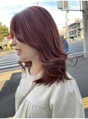 ハイライト