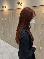 モクレン(mokuren.)&nbsp;オレンジカラー