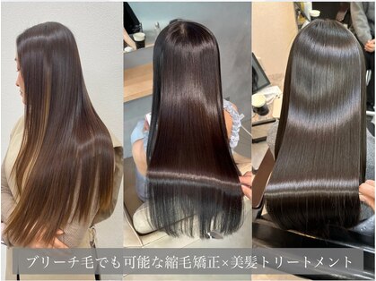 シンカ(shinka)の写真