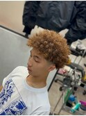 スパイキーアフロ/刈り上げ