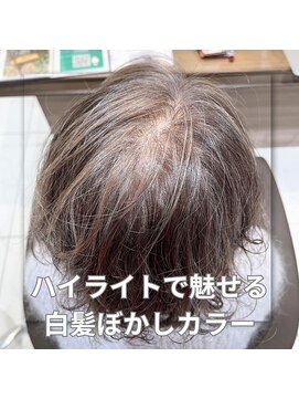 アッシュ 中山店(Ash) 【家郷限定】白髪ぼかしカラー