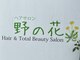 野の花の写真/お客様のために常に進化を続けたい―。一人ひとりの理想を叶えるべく丁寧に施術をいたします。