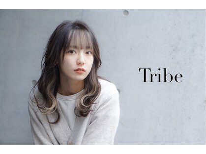 トライブ(Tribe)の写真