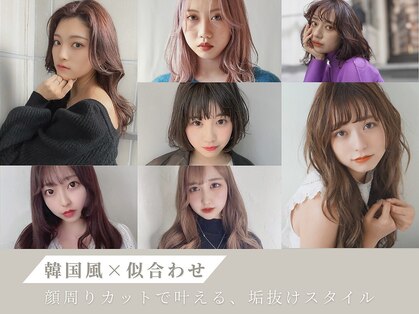 トアン(toan)の写真