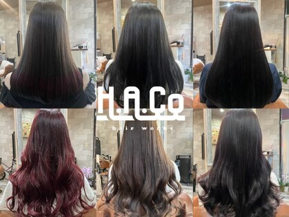 ハコ(H.A.Co)の写真