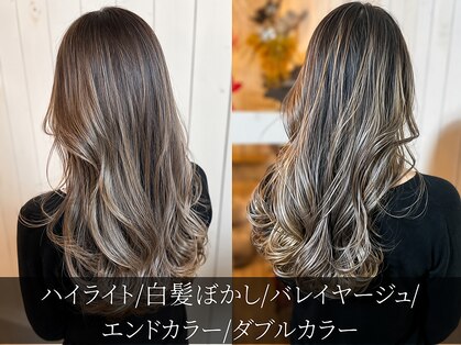 シークレットミラーズ(SECRET MIRRORS)の写真