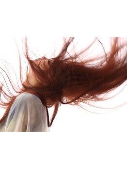 高い技術、最高グレードの薬剤で大人女性の“なりたい”を叶える！美しいワンランク上の艶髪へ―。