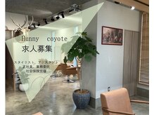 ハニー(Hunny)