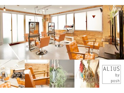 アリウス(ALIUS by posh)の写真
