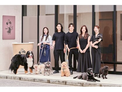 ドッグマニアピンチアオヤマ(DOGMANIA PiNCH AOYAMA)の写真