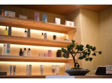 癒髪(yukami)の雰囲気(和をテーマに合わせて店内各所に盆栽を。#頭浸浴#ヘッドスパ)