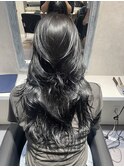 コリアンブラック×ハイレイヤー