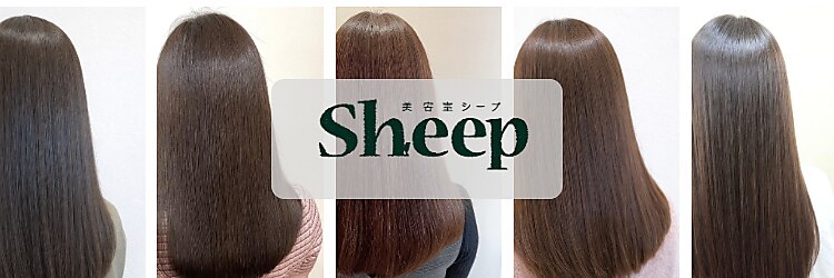 シープ(Sheep)のサロンヘッダー