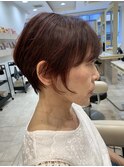 30代40代50ハンサムショート レッドブラウン 細毛ボリュームUP