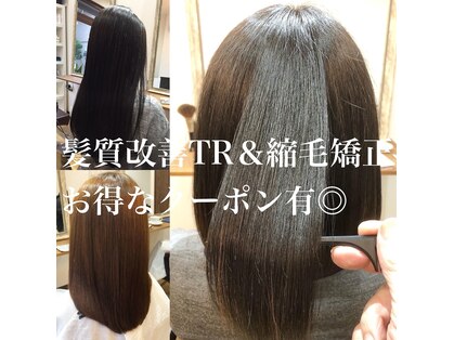 エルシャ(el-xa)の写真