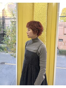 クオッカ(QUOKKA) オレンジショート