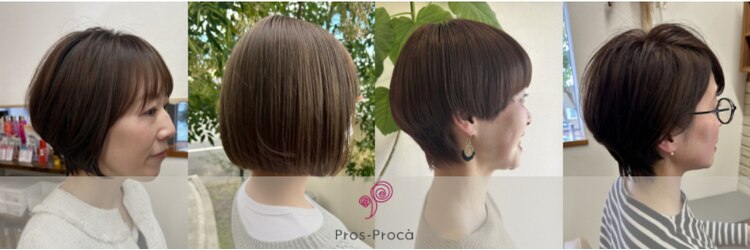 プロスプロカ(Pros-Proca)のサロンヘッダー
