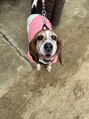 コティ(koti)&nbsp;愛犬トークしましょう♪