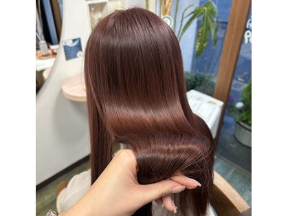 サムソンアンドデリラマハロ (samson&delila Mahalo)の写真