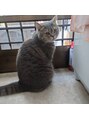 ルナ 深沢店(LUNA) 実家の愛猫マイケル