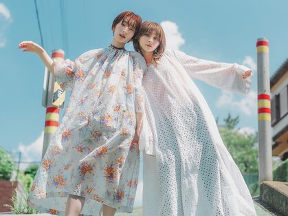 コットン(cotton)の写真