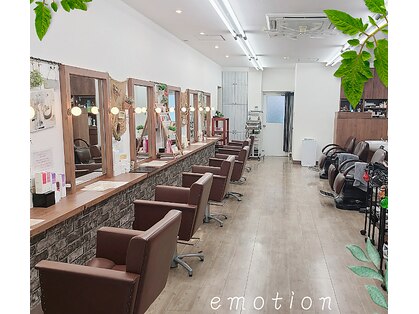 エモーション emotion hairの写真