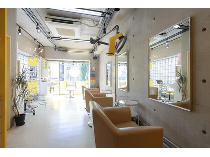 イエロー(YELLOW)の写真