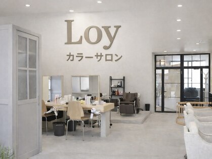ロイ(Loy)の写真