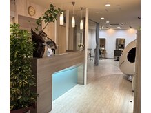 落ち着いたサロンスペースで美を提供いたします！！