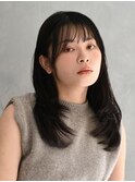 王道レイヤーストレートヘア