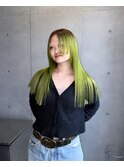 roots/ルーツカラー グリーン