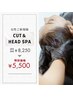 【女性ご新規様限定】 カット＋筋膜リリースヘッドスパ　￥8250円→￥5500円