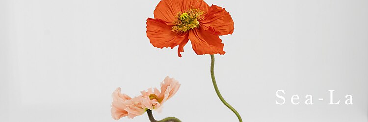 シーラ 光の森(Sea-La)のサロンヘッダー
