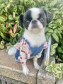 オーブ ヘアー リリー 博多2号店(AUBE HAIR lily) 犬飼ってます!我が子自慢お聞かせくださいませ!!!!