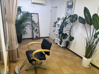 ケン(KEN)の写真