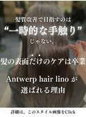 Linoの髪質改善が選ばれる理由【詳細はこのスタイルをチェック】