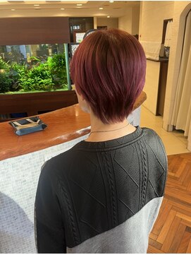 ファーレンピュアスウィート(fahren-pure-suite) blossom RED