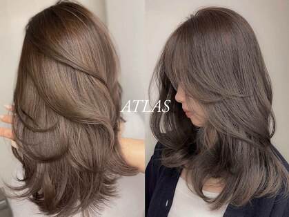 アトラス(ATLAS)の写真