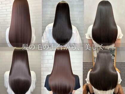 レッドネオ エビス(Redneo ebisu)の写真