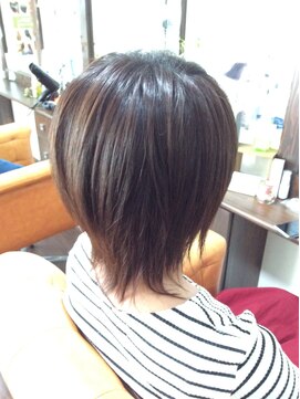 ドルセット ミディアムウルフ